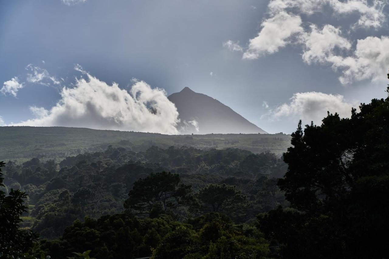 Villa 4 Seasons São Roque do Pico Exteriör bild