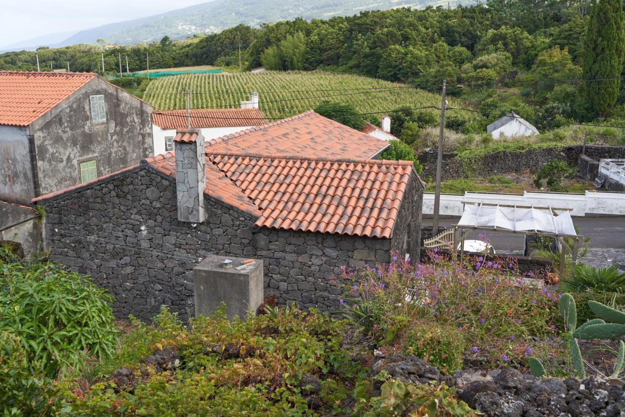 Villa 4 Seasons São Roque do Pico Exteriör bild