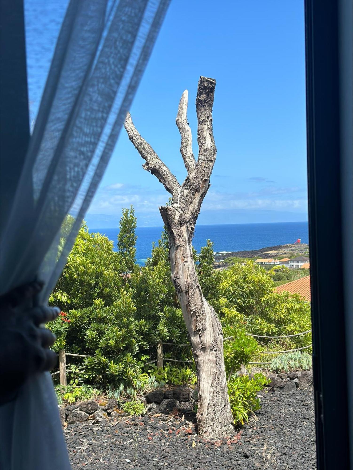Villa 4 Seasons São Roque do Pico Exteriör bild